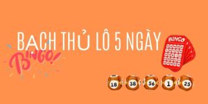 Bạch thủ lô 5 ngày