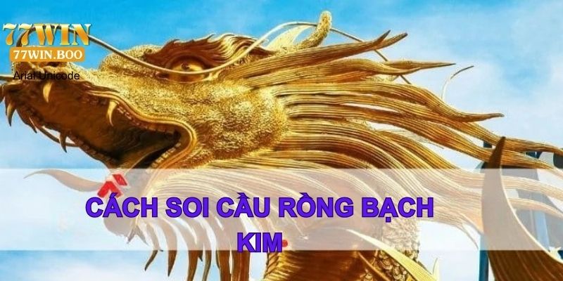 cách soi cầu rồng bạch kim