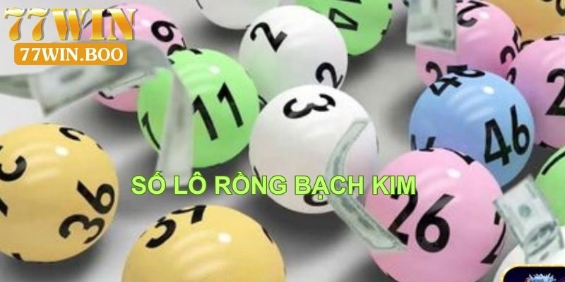 rồng bạch kim 555