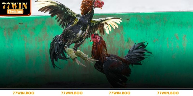 Một số hiểu lầm phổ biến bạn cần biết