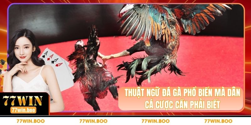 Thuật Ngữ Đá Gà Phổ Biến Mà Dân Cá Cược Cần Phải Biết