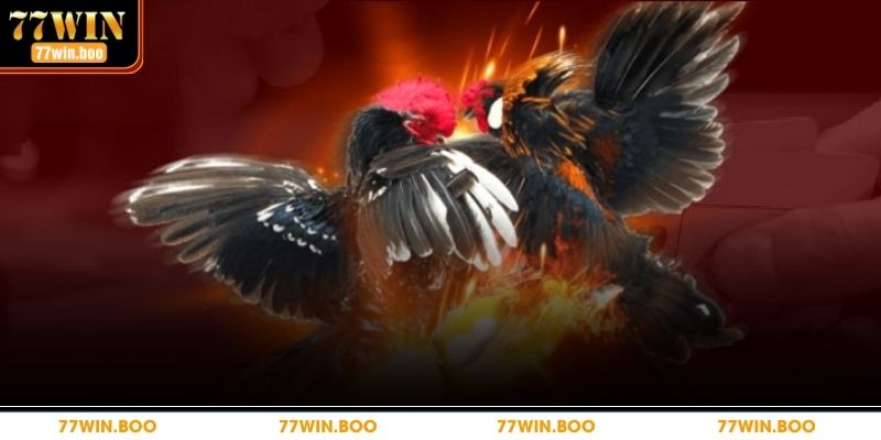 Tổn thất có thể xảy ra nếu không cẩn thận 